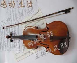 ☆玉树林风88☆～安麗康美园