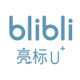亮标旗舰店