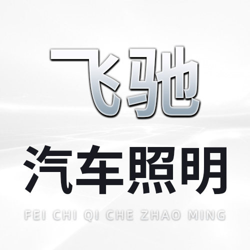 飞驰汽车照明配件