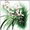 广东华美佳批发商城