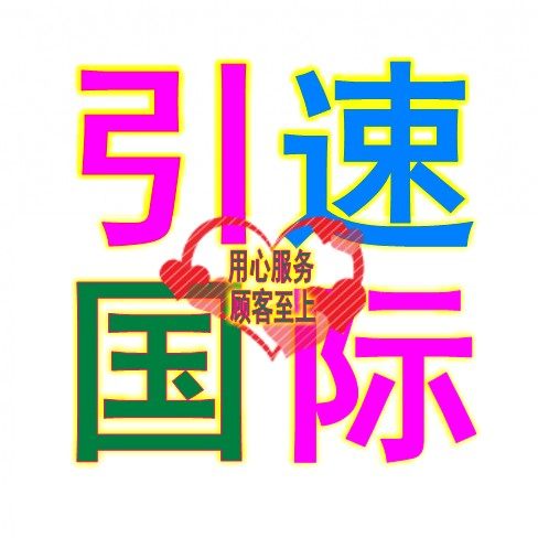 引速国际的LOGO