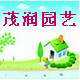 茂润园艺花卉盆栽直销