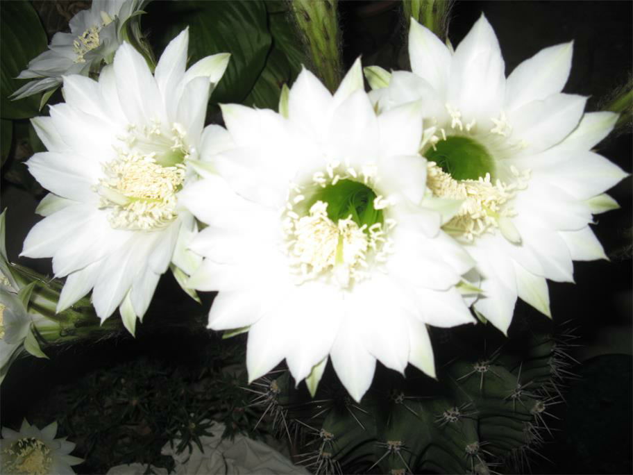 花样童装小屋
