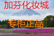 加芬化妆城的LOGO