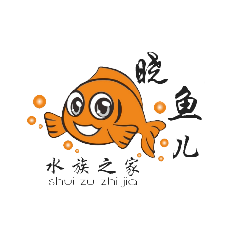 晓鱼儿水族之家