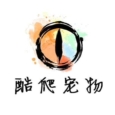 酷爬宠物