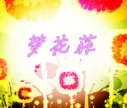 梦花菲家纺