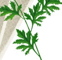 华荣艾绒厂