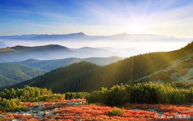 利民康商贸企业店的LOGO