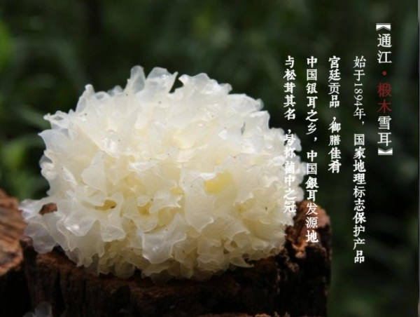 通江农家土特产的LOGO