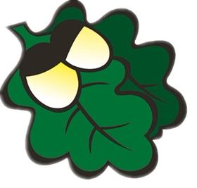 橡果国际汽摩商贸的LOGO