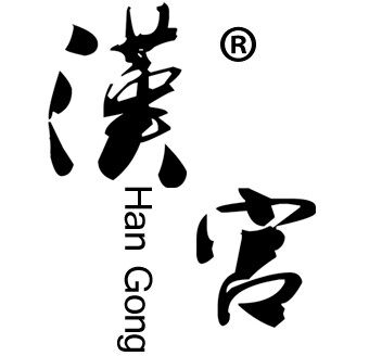 汉宫乐器旗舰店