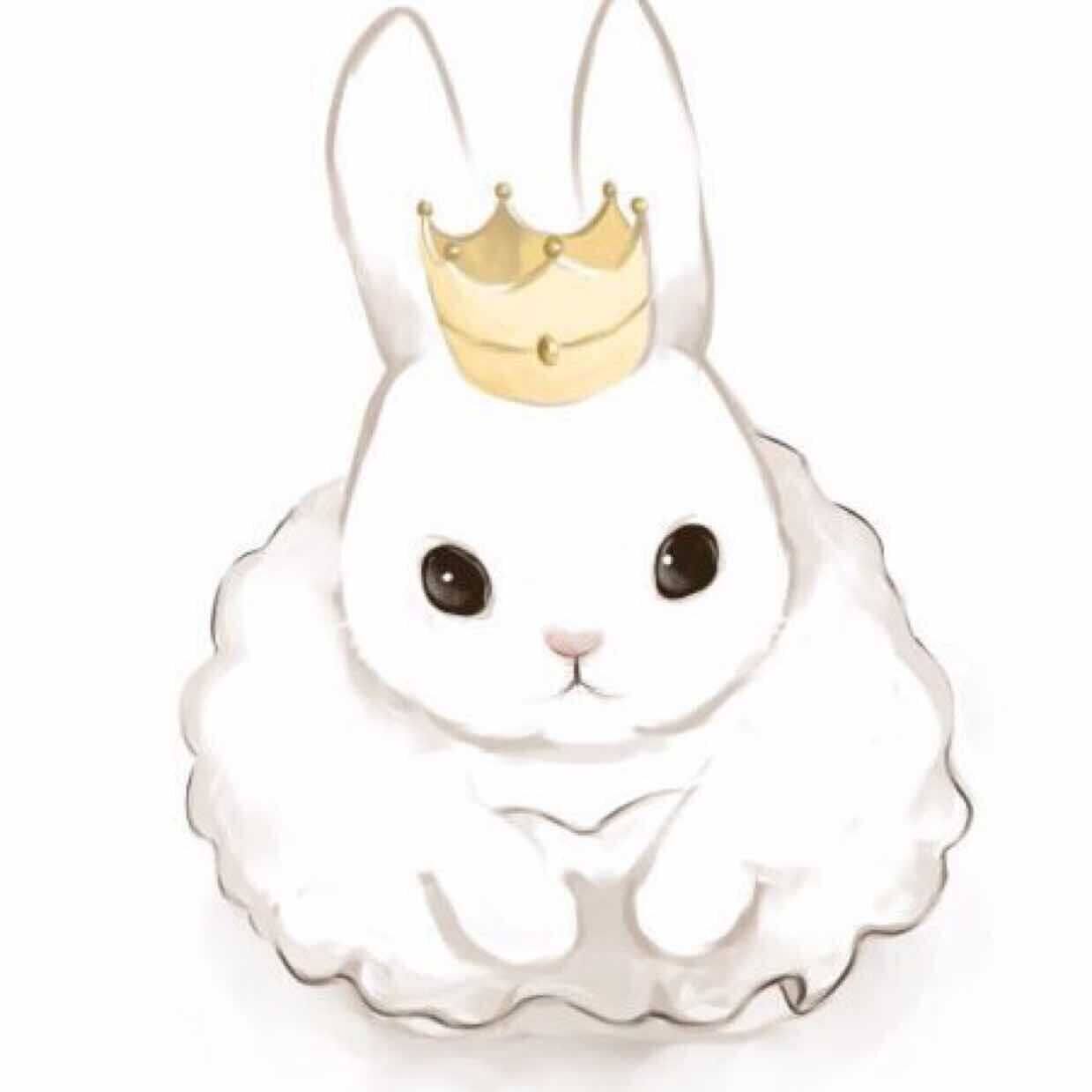 兔小姐兔兔生活馆