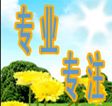 卓越助理