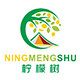 柠檬树儿童帐篷