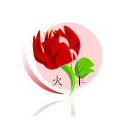 义乌火丰鲜花包装