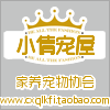 小倩家养宠物