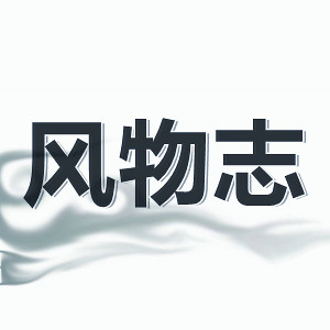 风物志花臂纹身贴的LOGO