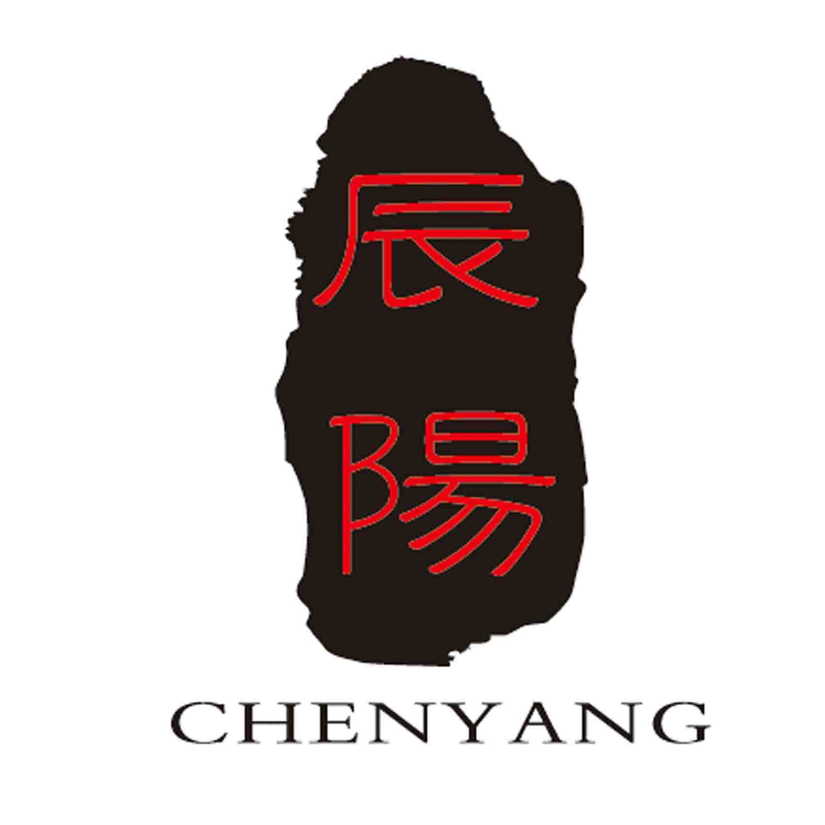 辰阳文化用品有限公司的LOGO