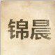 上海锦晨的LOGO