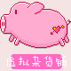 雅晴小店