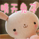 晴天兔子童装
