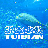 蜕变水族馆