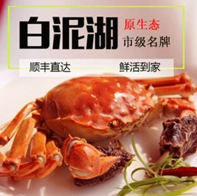 白泥湖大闸蟹的LOGO