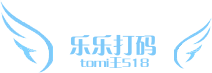 乐乐打码包装