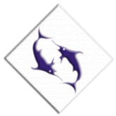 浮漂专店