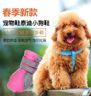 华创宠物用品的LOGO
