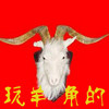 结缘文玩部落