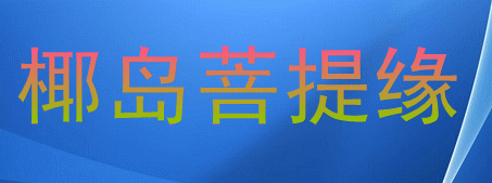 椰岛菩提缘