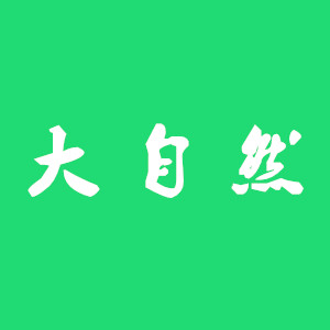 大自然车品商城