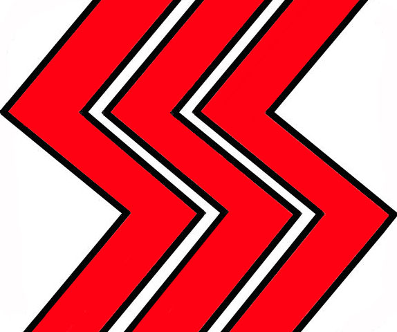 赛沙斯电子的LOGO