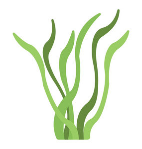 荣成海藻加工厂