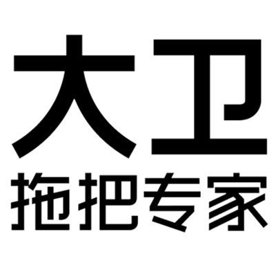 大卫观复专卖店的LOGO