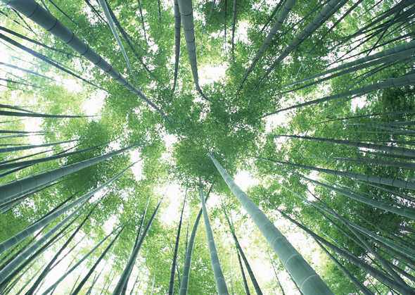 沭阳县花满家园艺场