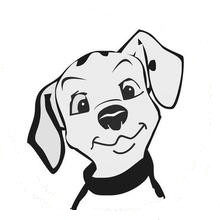 华东宠物商城的LOGO