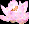 贴心家园健康养生的LOGO