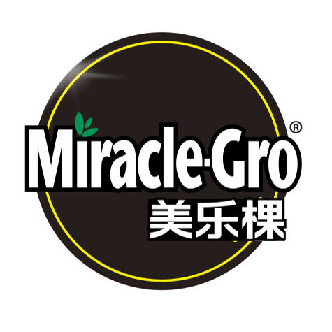 华中家居专营店的LOGO