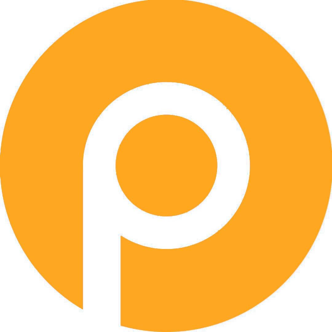 OrangeP橙皮数码的LOGO