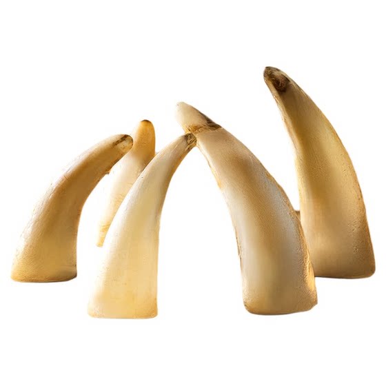 Air -dried beef horn dog snack containing horny marrow nutrition and calcium supplement tooth cleaning teeth without hurting the gastrointestinal and bitter grinding teeth stick
