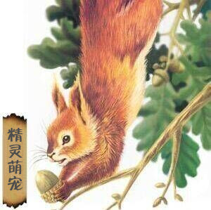 精灵萌宠部落