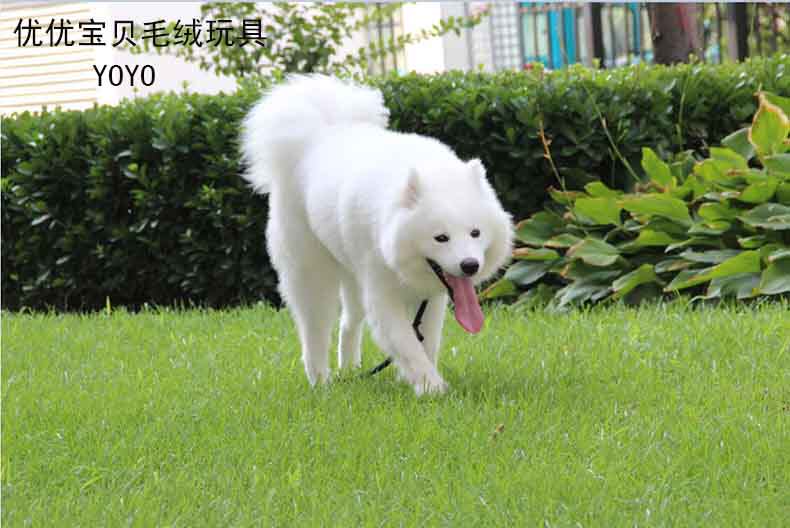 优优宝贝毛绒玩具