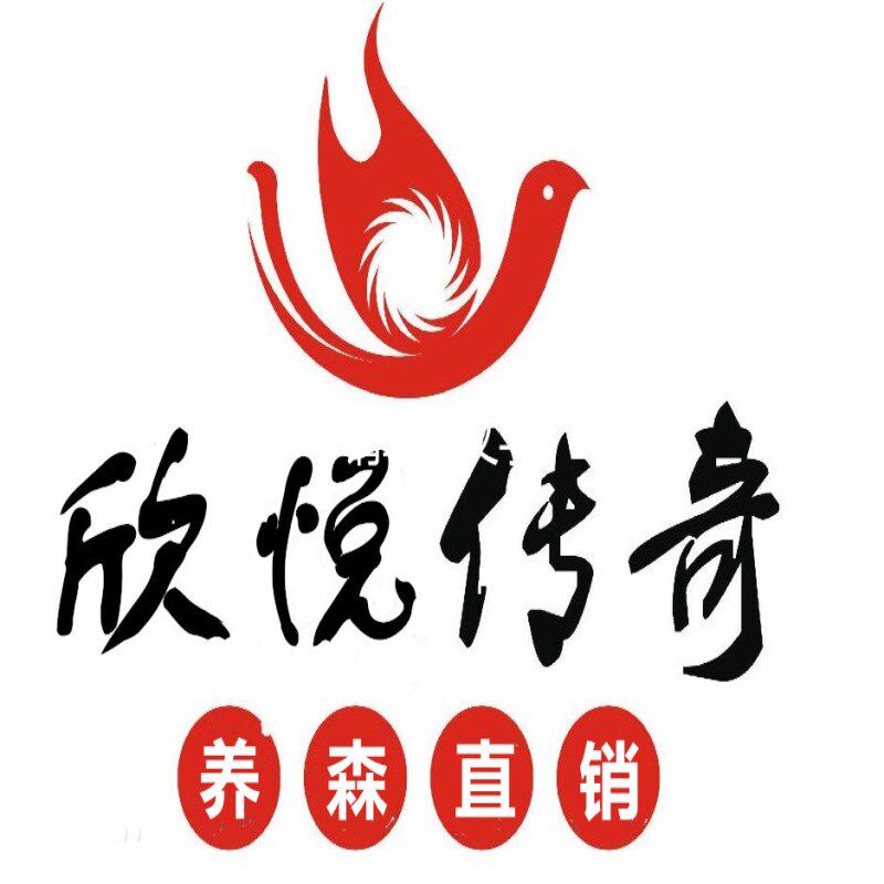 欣悦传奇