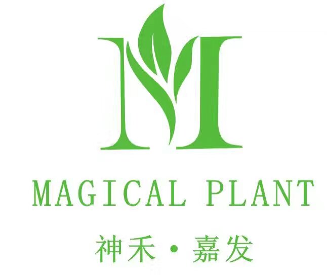 神禾嘉发 白发转黑发 止脱生发