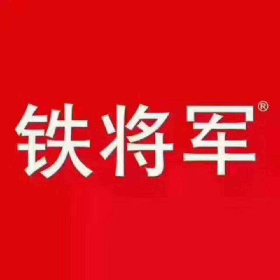 同辉铁将军汽车电子