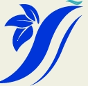 河北云赢密封制品