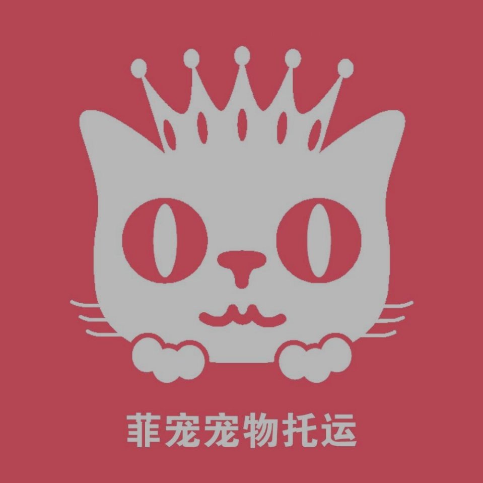 广州菲宠宠物托运